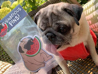 Watermelon & Strawberry Pug Air Fresheners