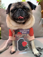 Watermelon & Strawberry Pug Air Fresheners