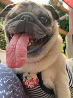 I Love My Senior Pug Hard Enamel Pin