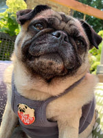 I Love My Pug Hard Enamel Pin