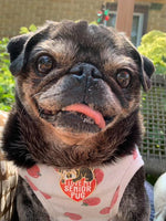 I Love My Senior Pug Hard Enamel Pin